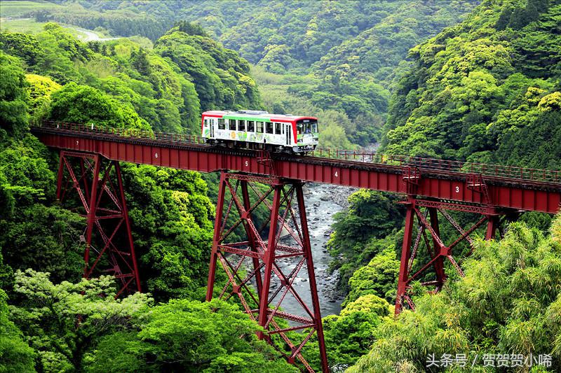游轮旅行日本攻略,坐游轮去日本大概需要多少钱