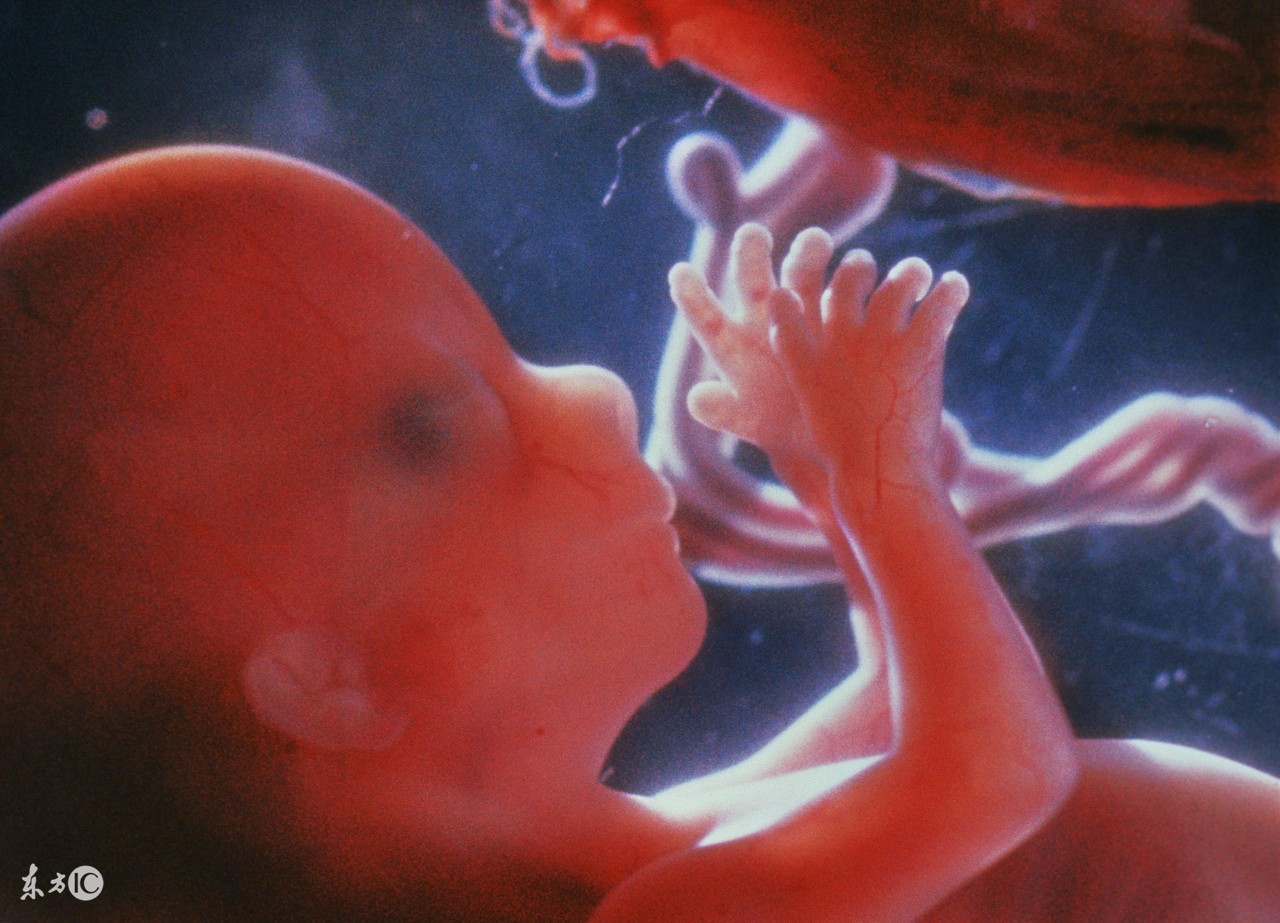 羊水为什么叫羊水秒懂知识,羊水是怎么产生的为什么羊水少