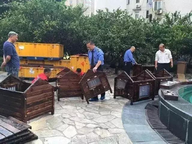 小区物业为流浪猫安了家,物业为流浪猫投放太阳能