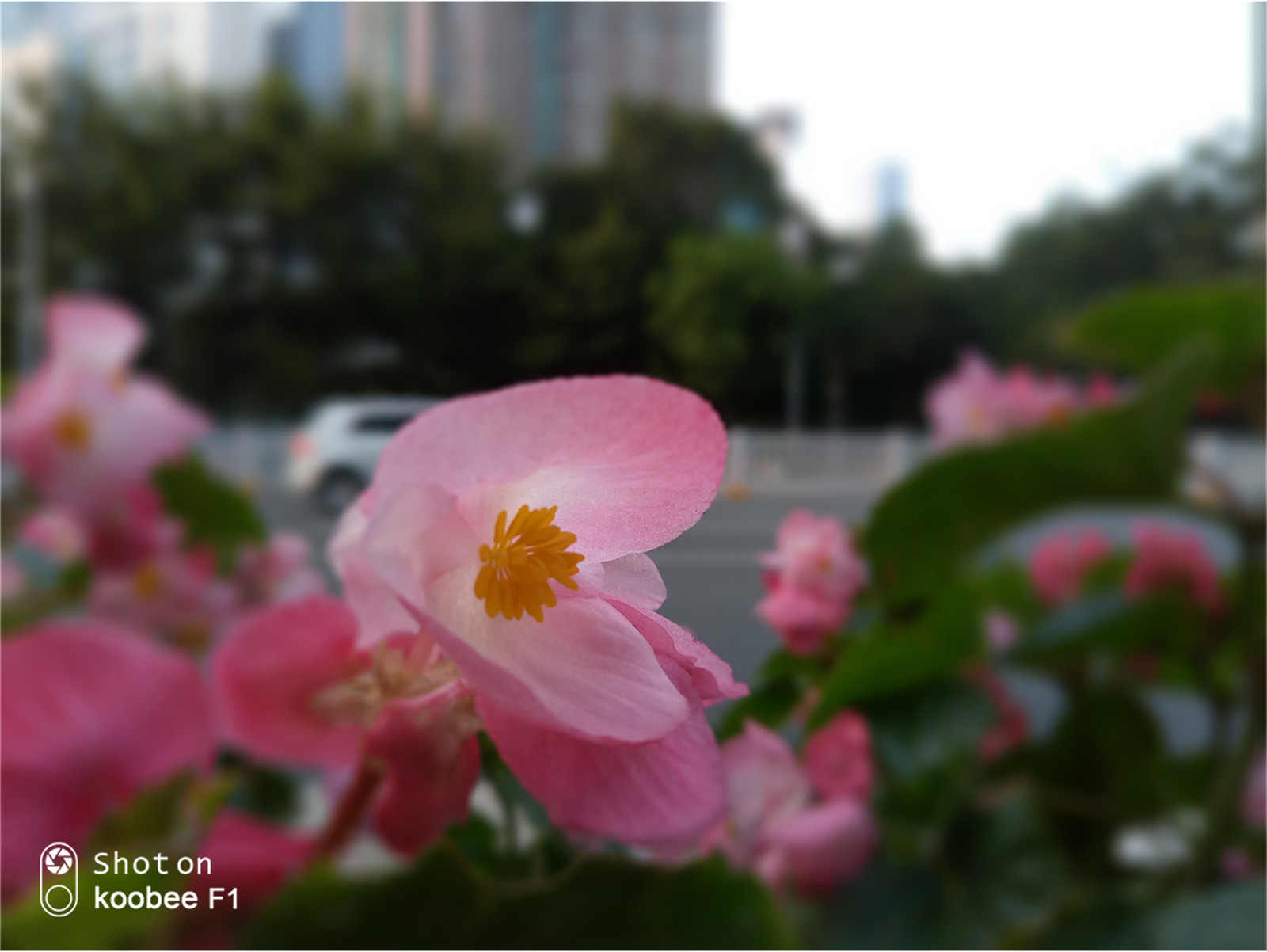 虹软算法视频,虹软算法属于什么水平