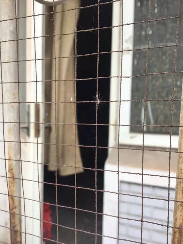 天津体育学院卫津南路51号,再见了天津视频