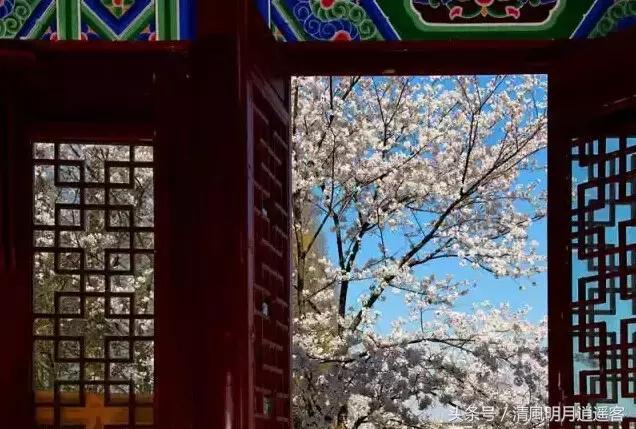 读古诗益处多多,读古诗健身