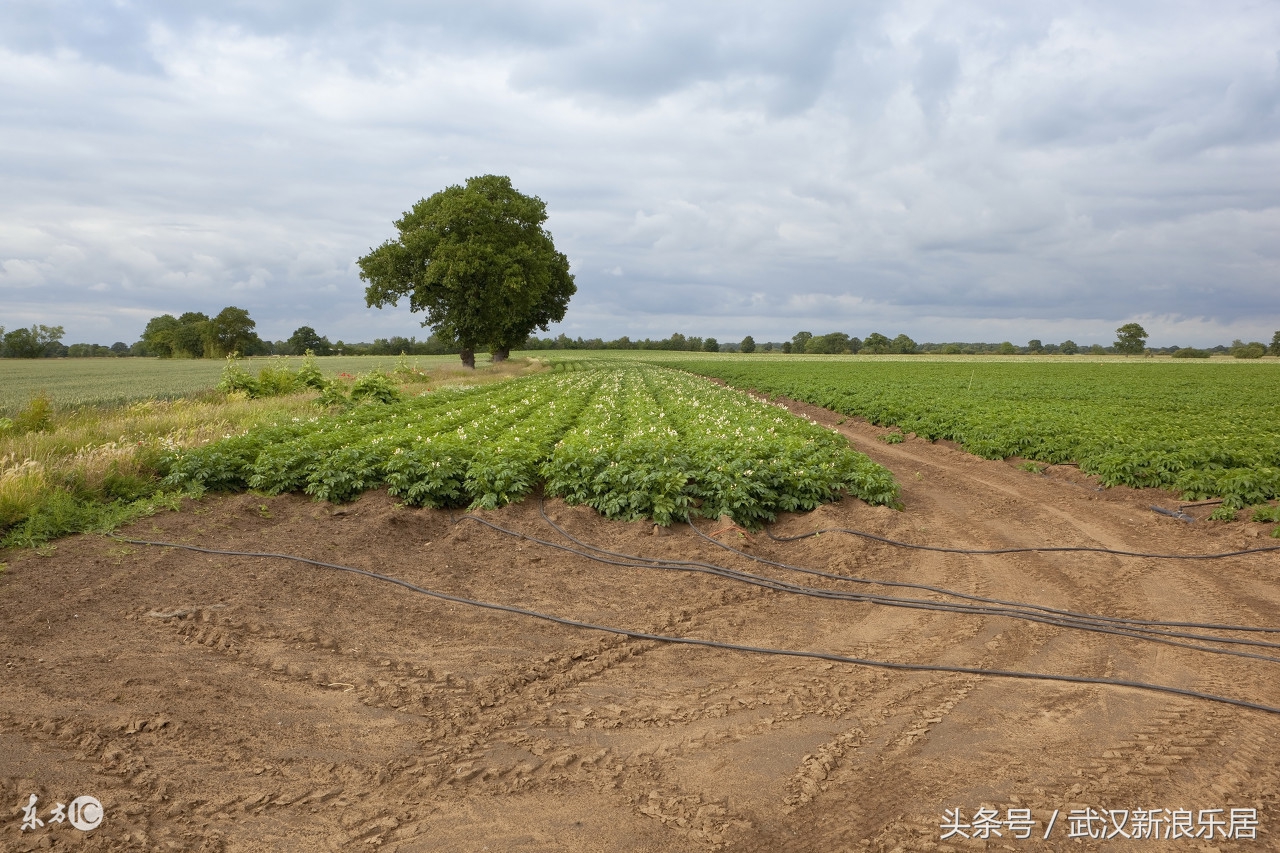 2019年全国租赁住房平均租金,保障性租赁住房租金标准