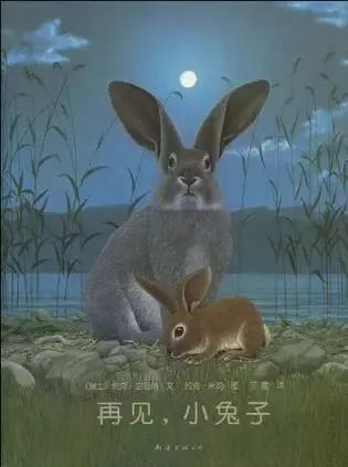 豆瓣9分以上的文学书,豆瓣9.0高评分书单推荐