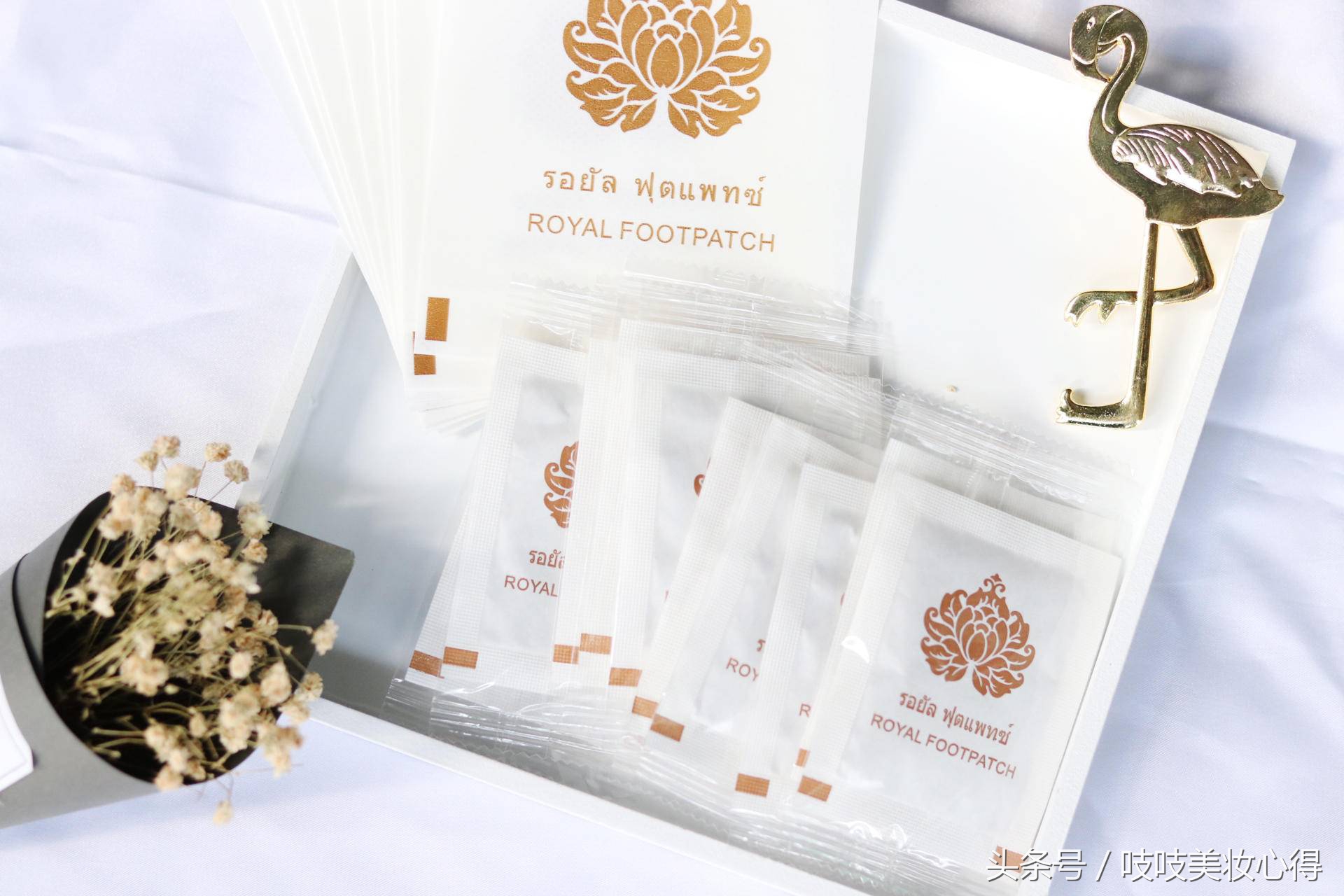 吱吱の秋季爱用物清单,每一款都好用到哭!