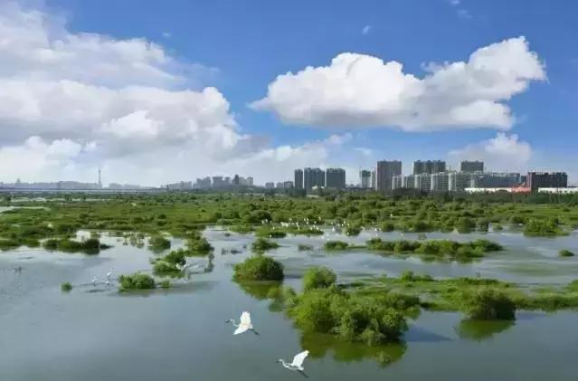 今天起，临沂要大变了！这辈子我都不会后悔留在了临沂！