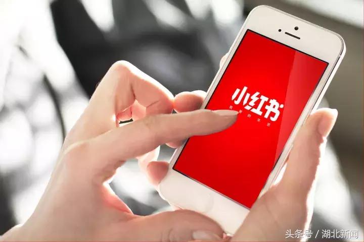 湖北失信名单系统,湖北失信名单查询