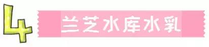 被吹上天的坑人的零食,日本代购什么产品最值得买