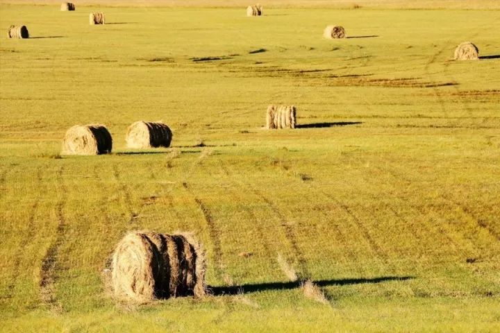 上班族出去,上班族如何有时间旅游