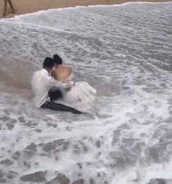 台湾一网友撸猫的时候，有了惊人的发现