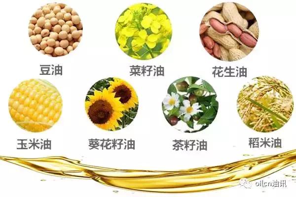 食用油的标准脂肪酸是什么,常见食用油的营养成分含量对比表