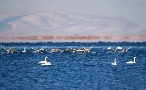 假期出游的风景,假期里遇见一个美丽的风景