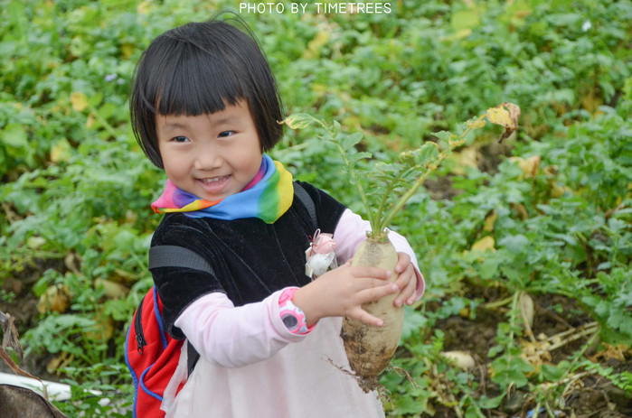 游玩增城新塘,游玩增城