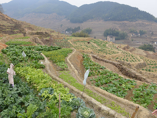 泉州永春北溪文苑旅游风景区游记,永春旅游冬季景点介绍大全