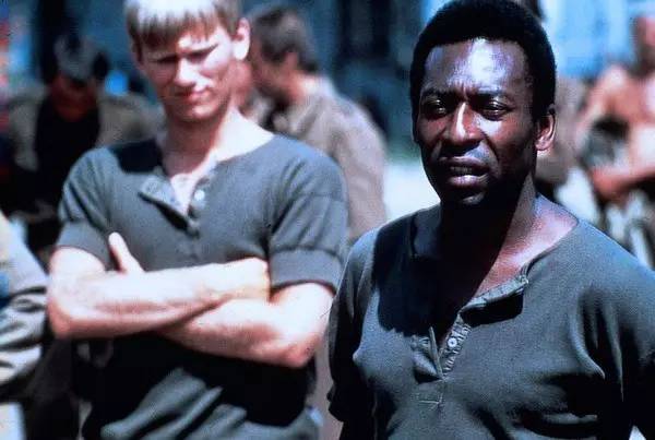 世界杯来看球,世界杯来一场足球盛宴