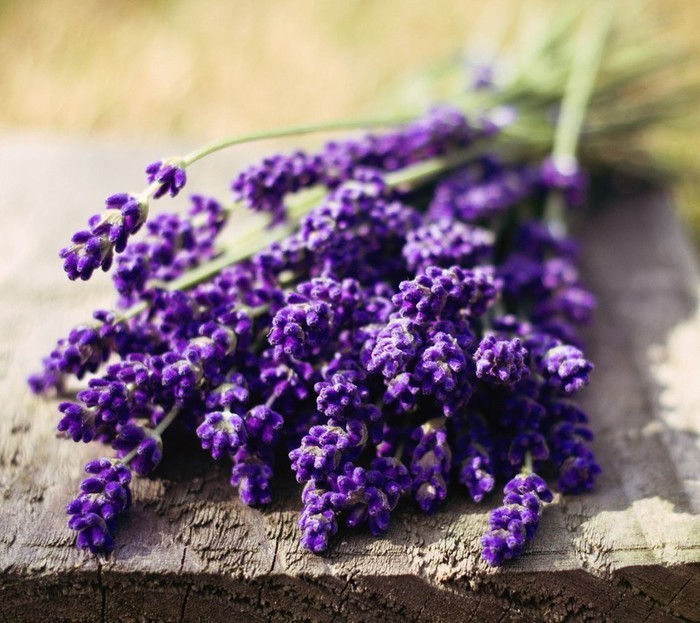 商业|她第一个给成都人带来精油和香氛,大家叫她“香香公主”