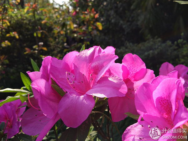 小米5测评视频,小米5使用体验感受如何