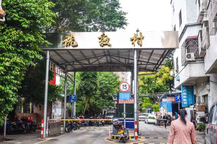 番禺区钟村南站,番禺钟村站