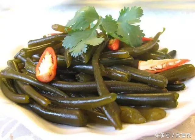 过去有哪些致富好项目,一周致富锦囊经典语录