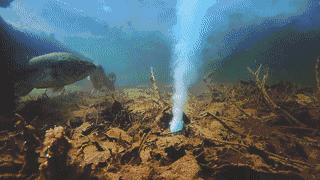 钓友福利打窝必备,钓鱼神器新型仿生鱼饵能钓一年