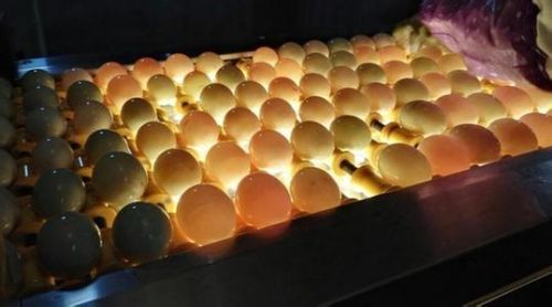 依托“互联网+”，这个双“11”，高邮鸭蛋飘香全国！