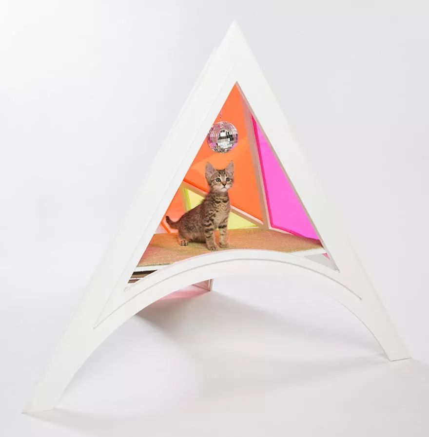 大爱！为这些百变多样的猫屋打call