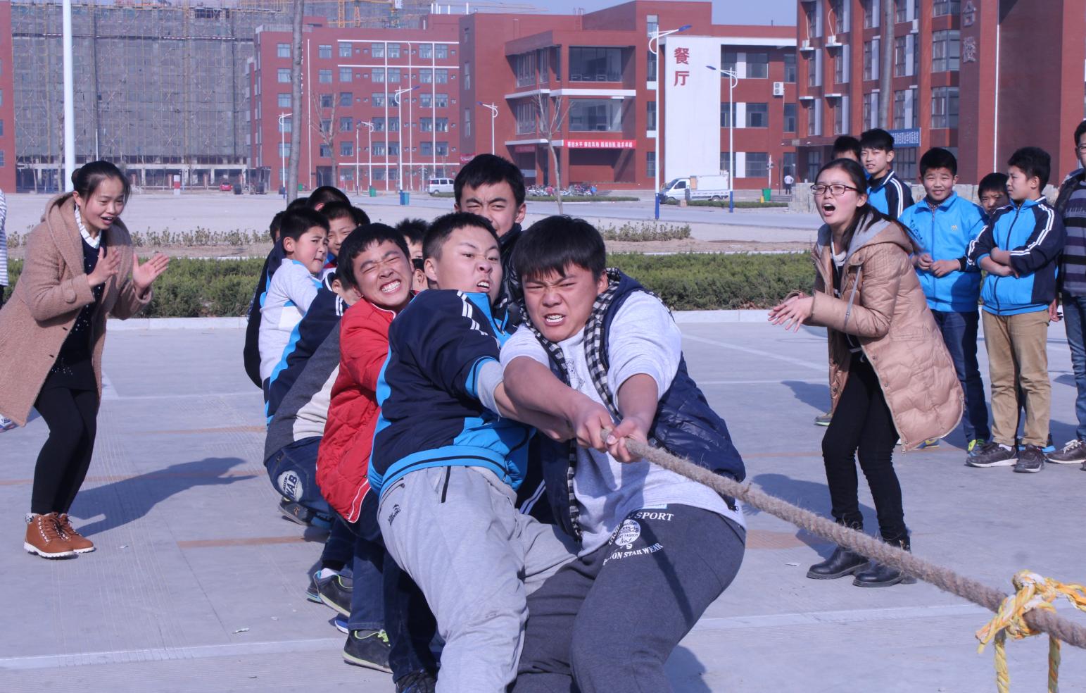 聊城育才学校升学率,山东聊城育才学校