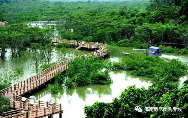 海口是一座美丽的城市,海口比较繁华的地段