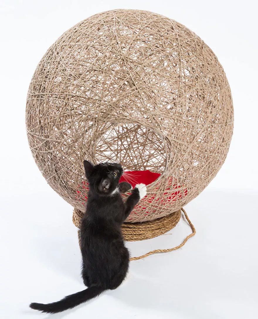 大爱!为这些百变多样的猫屋打call