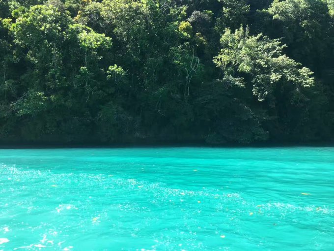 帕劳旅行全攻略,帕劳旅行攻略最佳方案