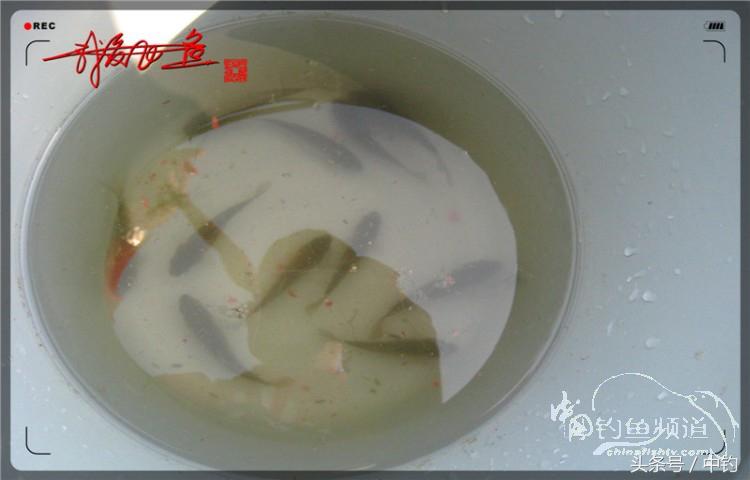 陪伴孩子的野餐,周末家庭式野餐陪伴家人