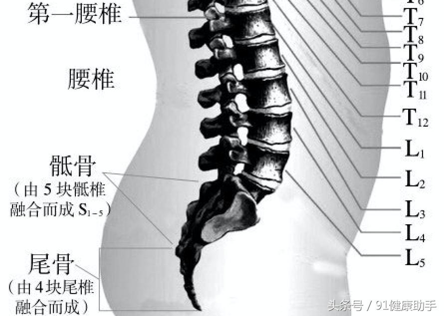 「脊椎讲座」深入了解腰椎病的病因、治疗及自我锻炼、按摩方法