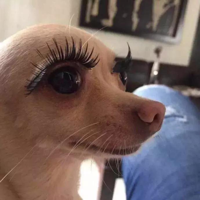 缃戠孩鐑棬娈靛瓙杩戞湡鎺ㄨ崘,缃戠孩鐑棬娈靛瓙鎺ㄨ崘