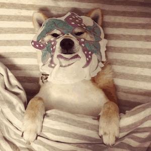 秋冬平价面膜,平价又好用的补水面膜推荐