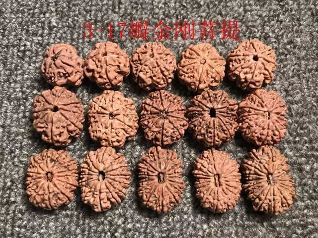 怎样区分打药的金刚菩提,金刚菩提怎么鉴别值钱