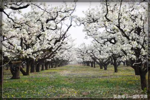 写作6个技巧,写作技巧和方法七字总结