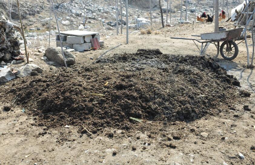 如何把粪变废为宝？土地增产的秘密*器武**！