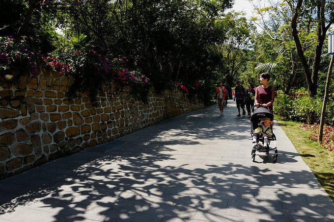 带父母去三亚游玩攻略,爸妈三亚旅游攻略