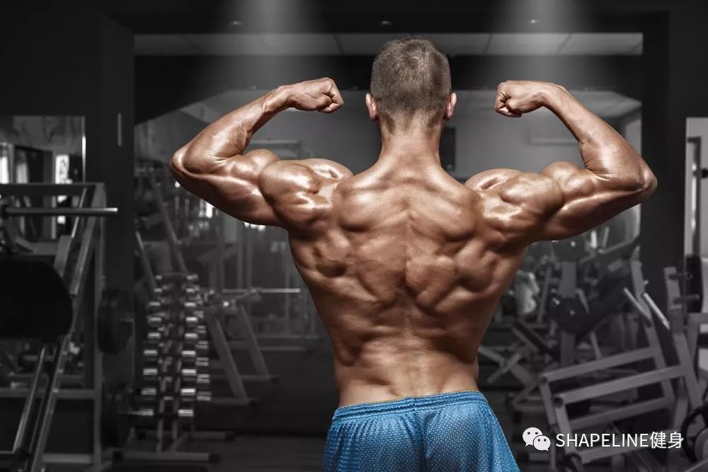 肌酸bcaa等一些补剂的作用,补剂套餐bcaa肌酸