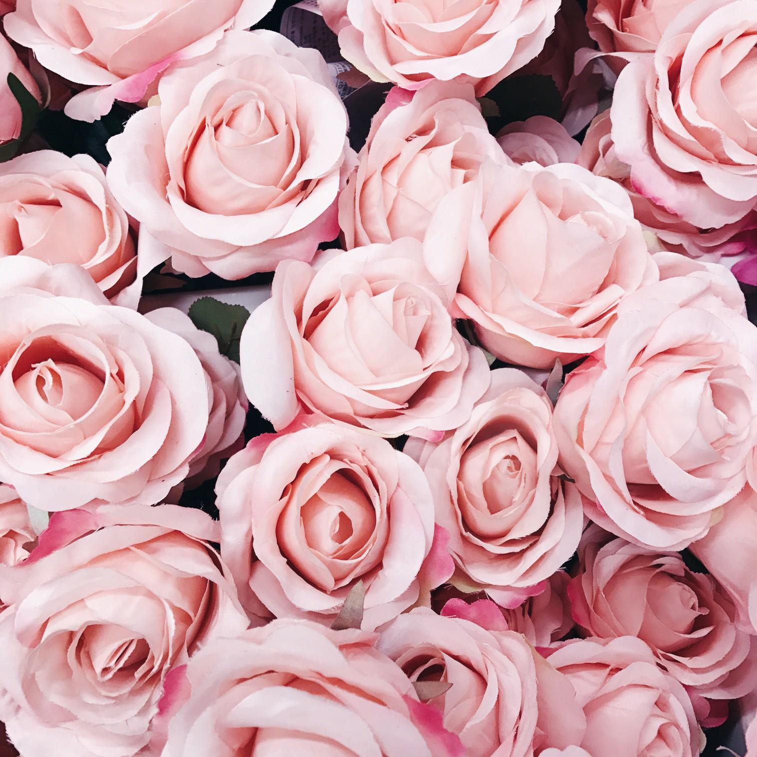 微信相册封面动态教程,微信相册封面美图英文