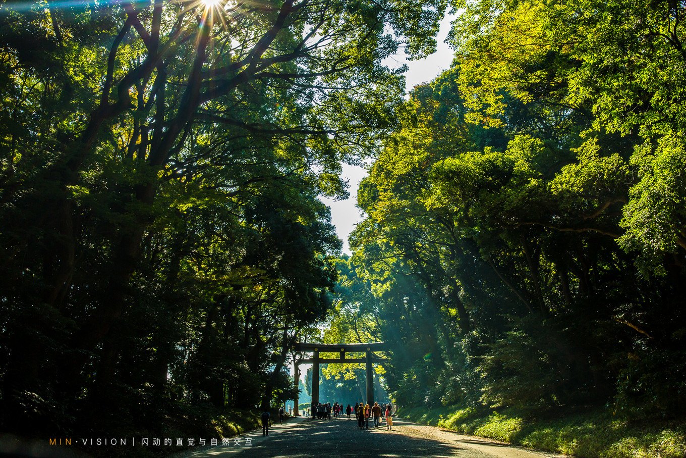 去东京玩用什么攻略,东京攻略东京