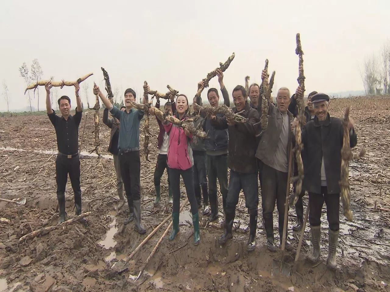 抓螃蟹的方法您知道几种,抓螃蟹的方法儿童