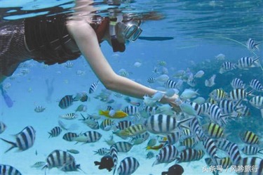 海底危险的项目,海底捞安全事故真实案例