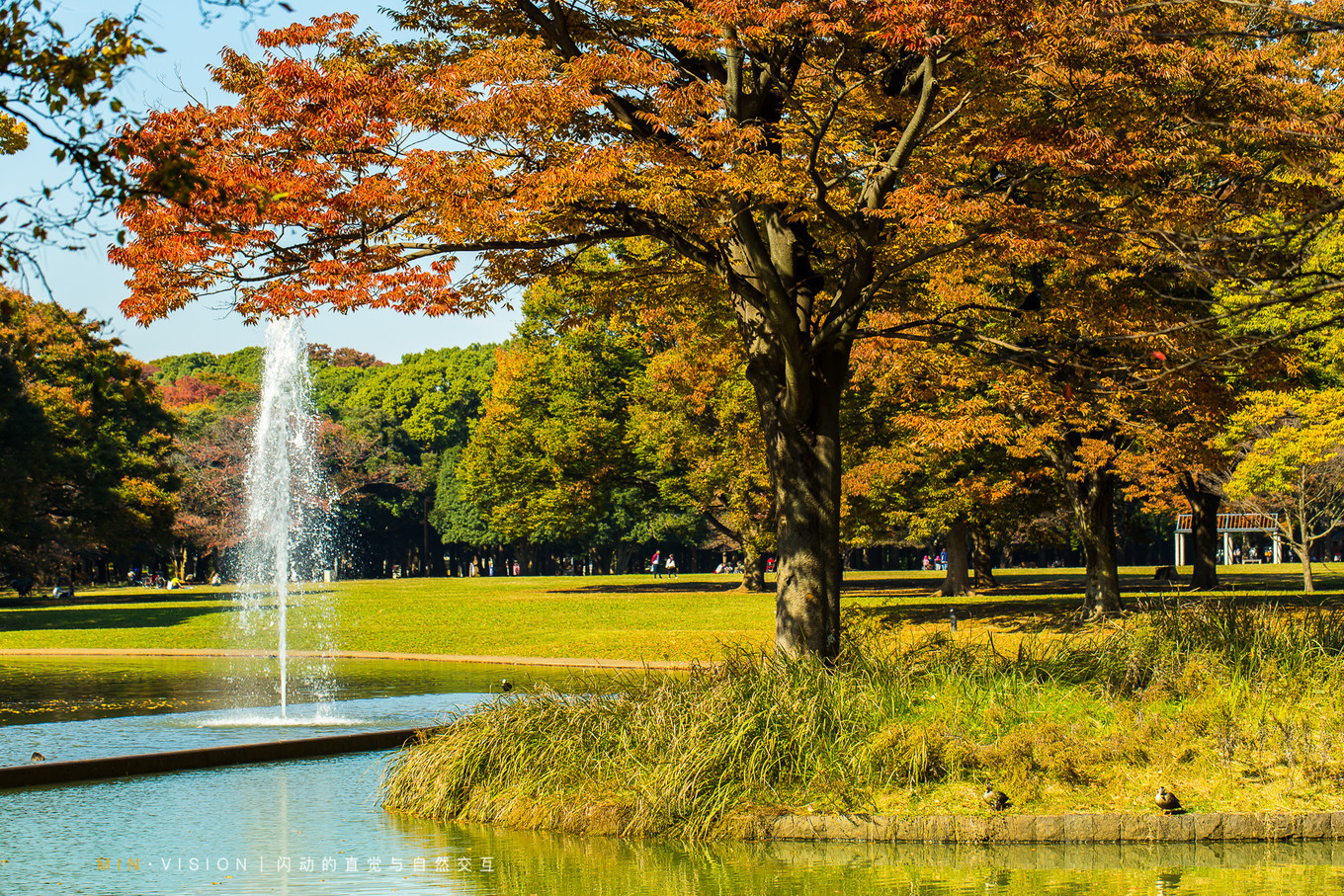 去东京玩用什么攻略,东京攻略东京