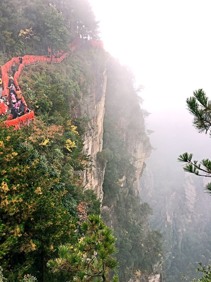 长沙张家界5天游,长沙张家界凤凰6天5晚品质游