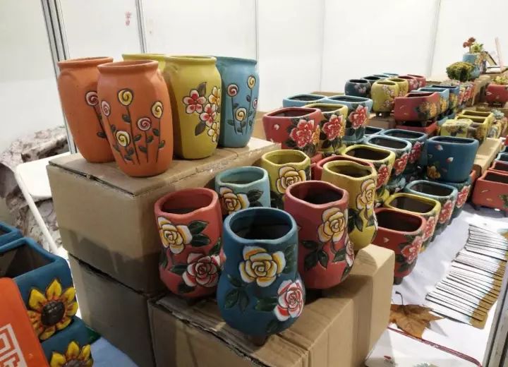 公认最美4种多肉植物图片,2014年上海多肉植物展图片