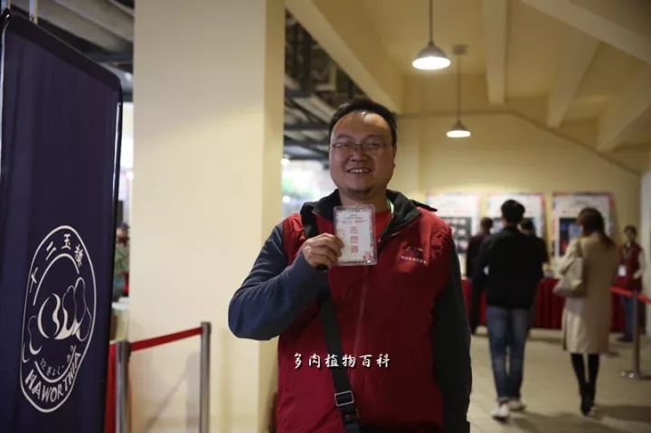 公认最美4种多肉植物图片,2014年上海多肉植物展图片