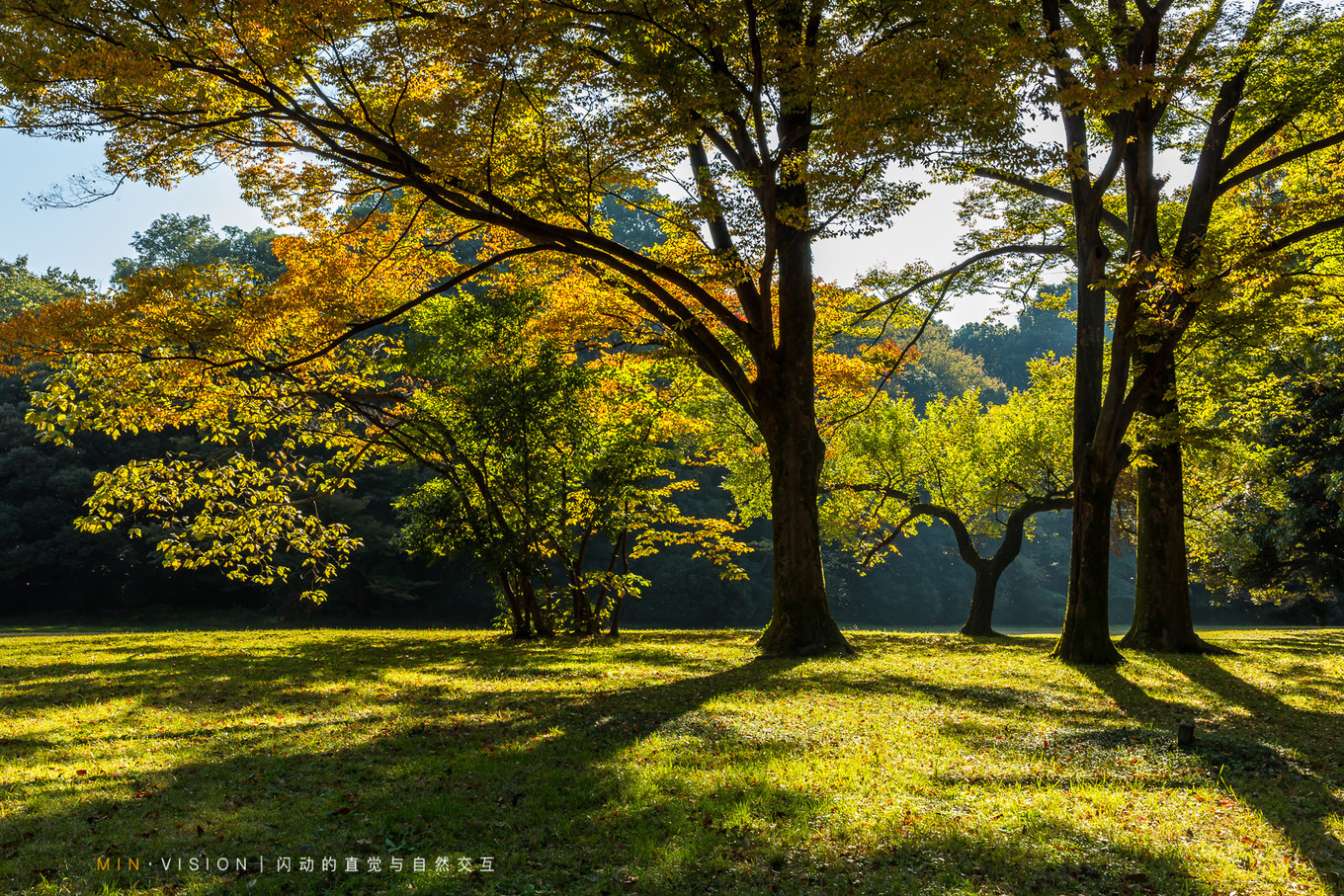 去东京玩用什么攻略,东京攻略东京
