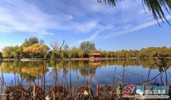 北京顺义最美的景区,顺义最美的国家森林公园