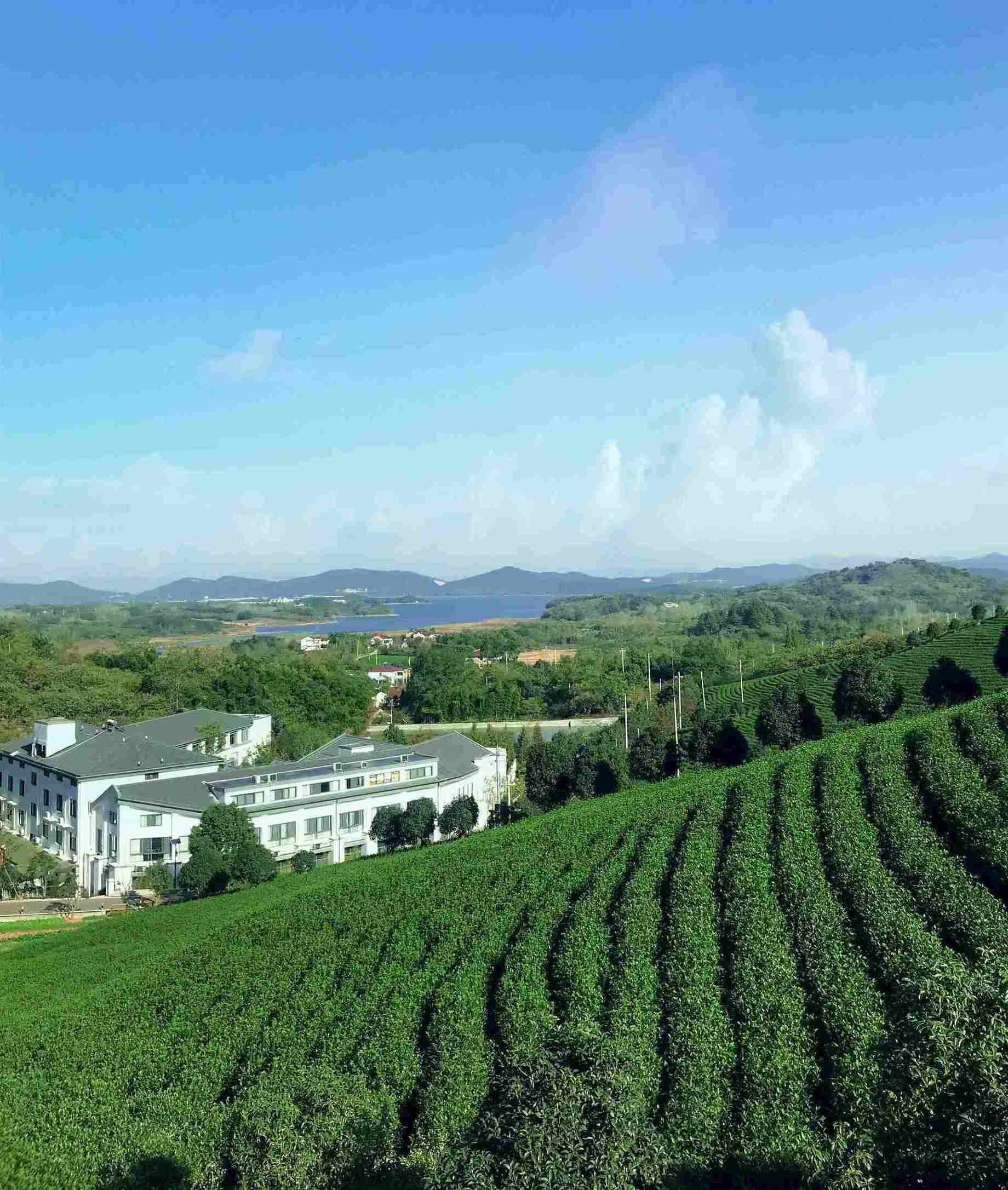 溧阳最美民宿推荐,溧阳绝美民宿